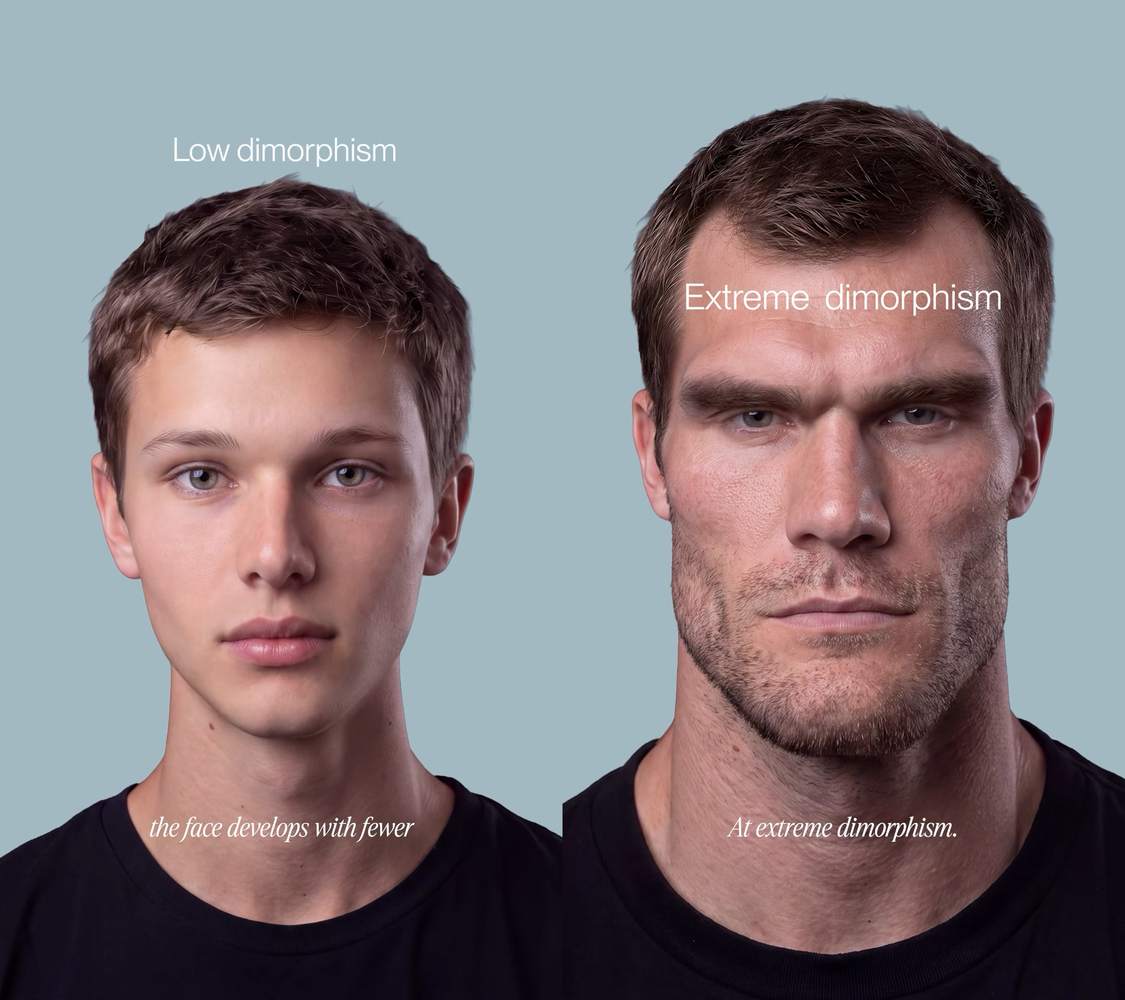 Image de : Les deux extrêmes de la masculinité faciale. [images QOVES Studio, ig/@qoves]